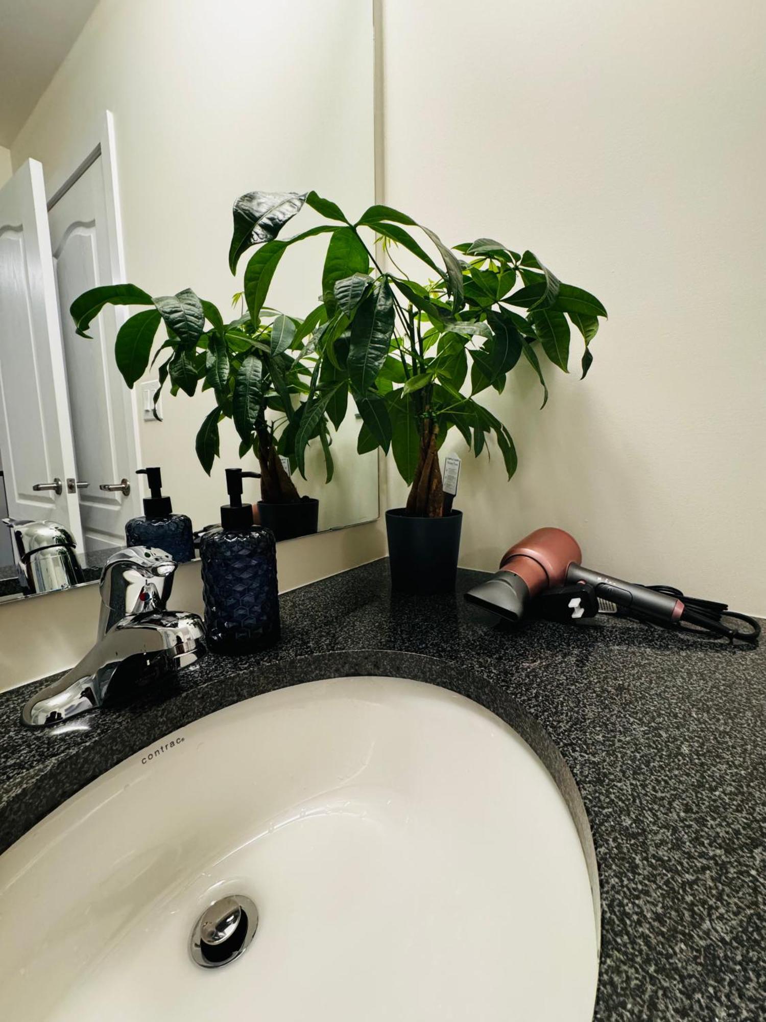 Have Whole House To Yourself ソロルド エクステリア 写真